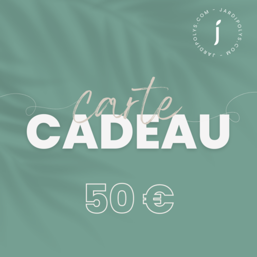 CARTE CADEAU 50E 1202x1282px
